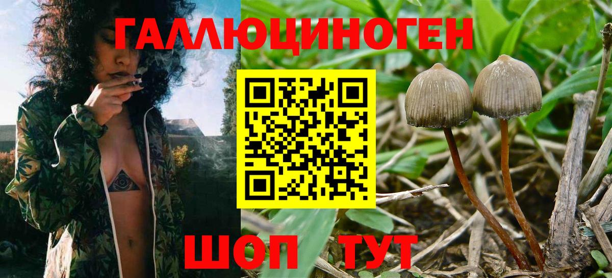 Галлюциногенные грибы прущие грибы  Вход с VPN  Балашиха 